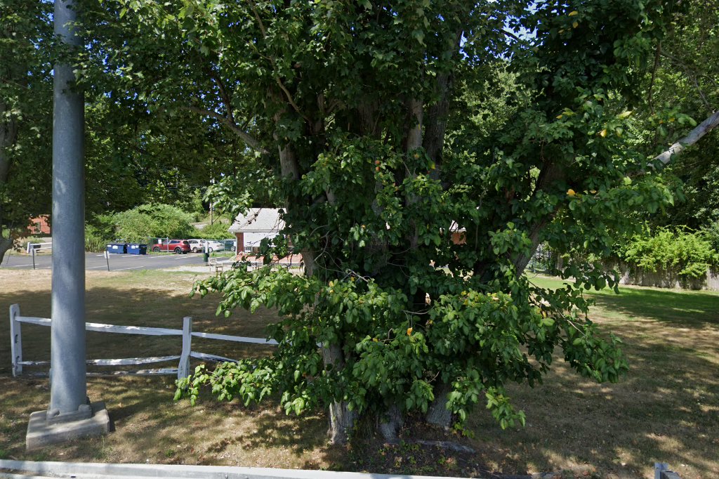 East Shore Veterinary Hospital