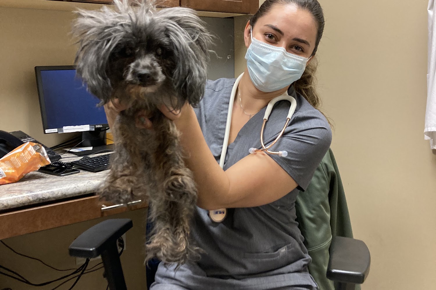 Vistancia Animal Hospital