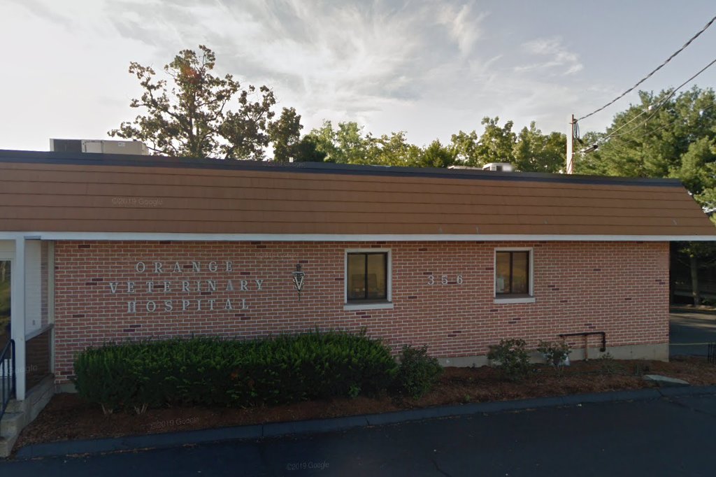Orange Veterinary Hospital