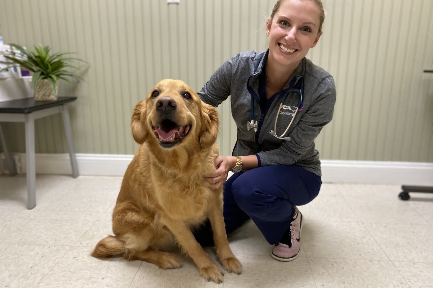 VCA Shoreline Veterinary Referral and Emergency Center