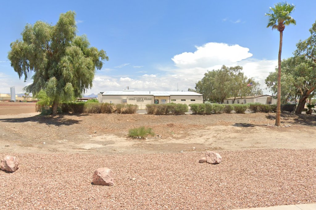 Bullhead City Animal Control