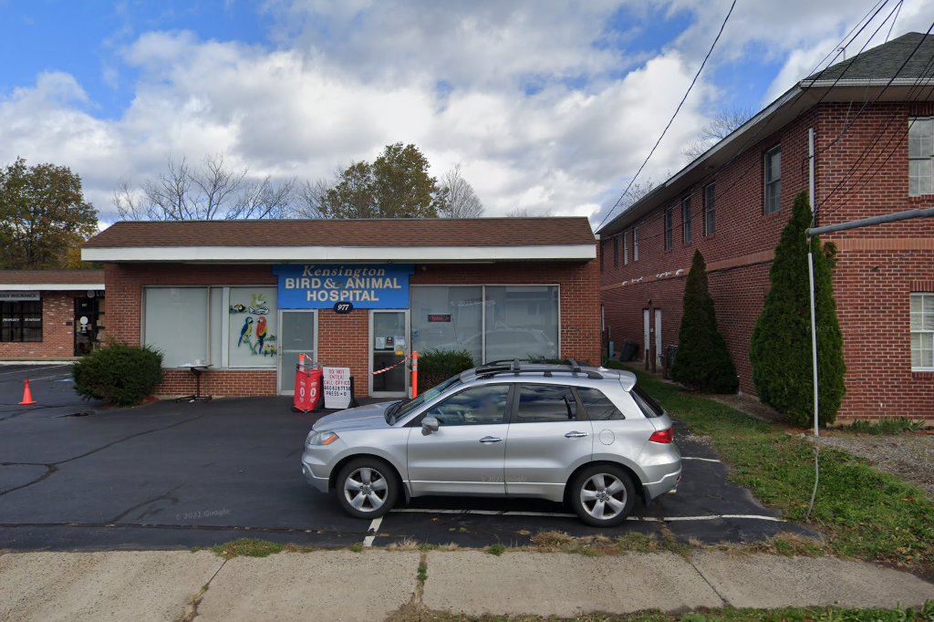 Kensington Bird & Animal Hospital