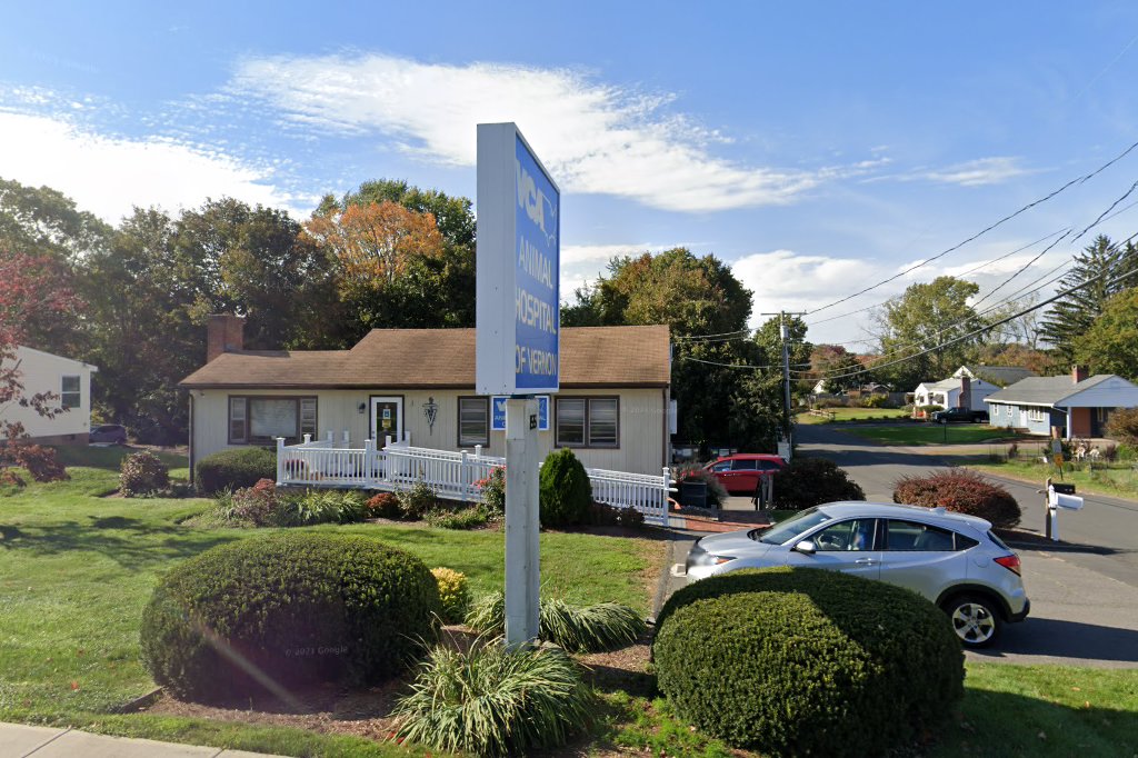 VCA Animal Hospital - Vernon