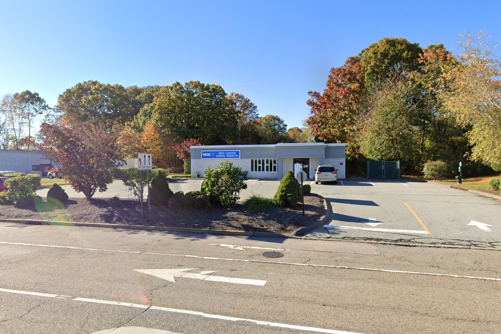 VCA New London Animal Hospital