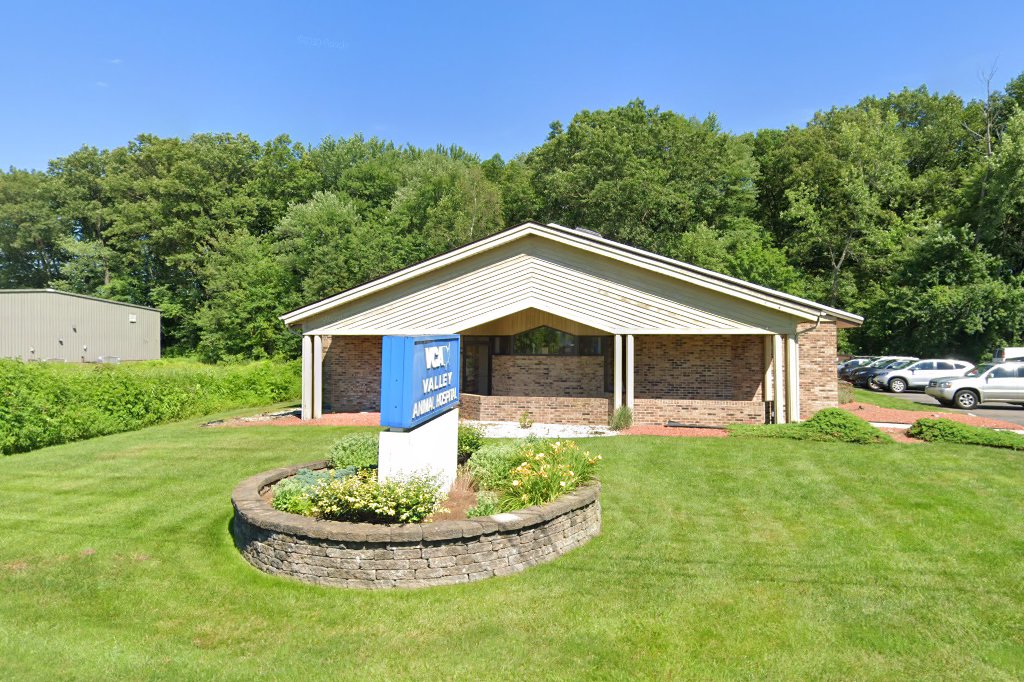 VCA Valley Animal Hospital