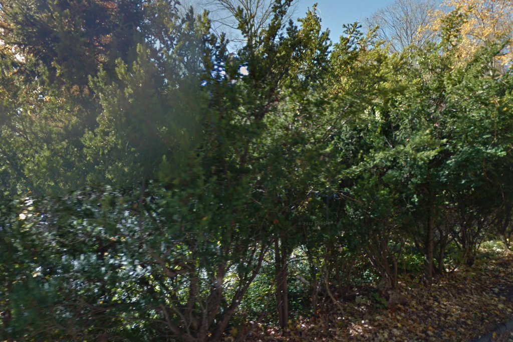 The Amanda Connection