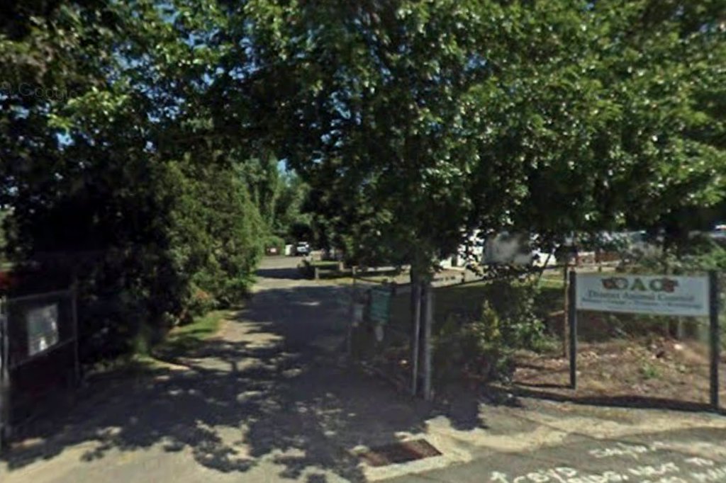 Woodbridge Animal Control