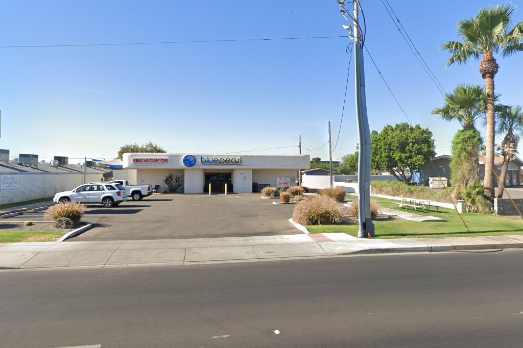 BluePearl Veterinary Partners