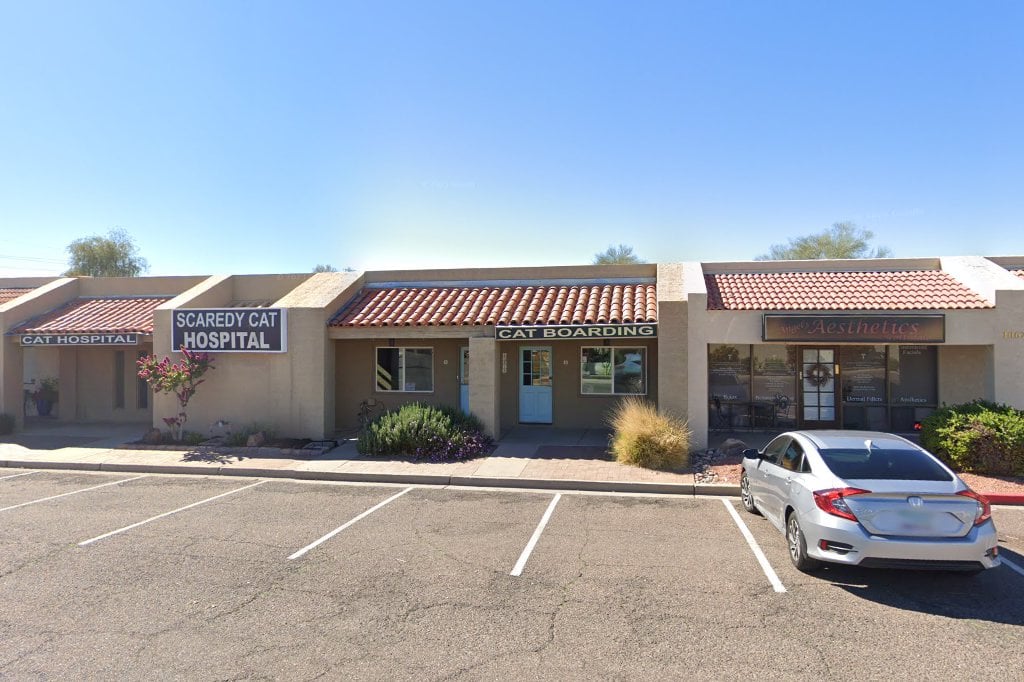 North Tatum Hospital For Cats