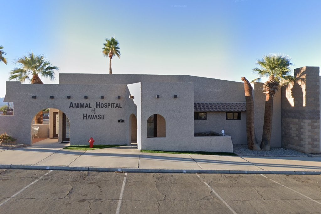 Animal Hospital of Havasu