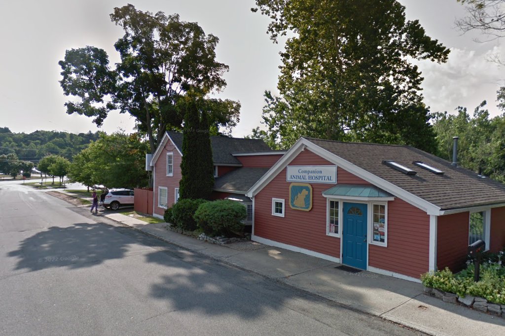 Companion Animal Hospital