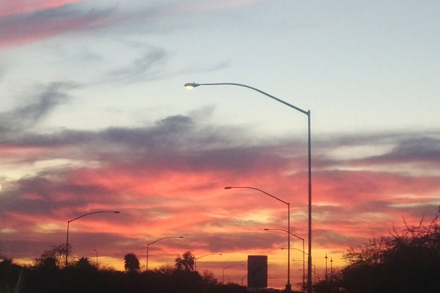 Arrow Animal Hospital