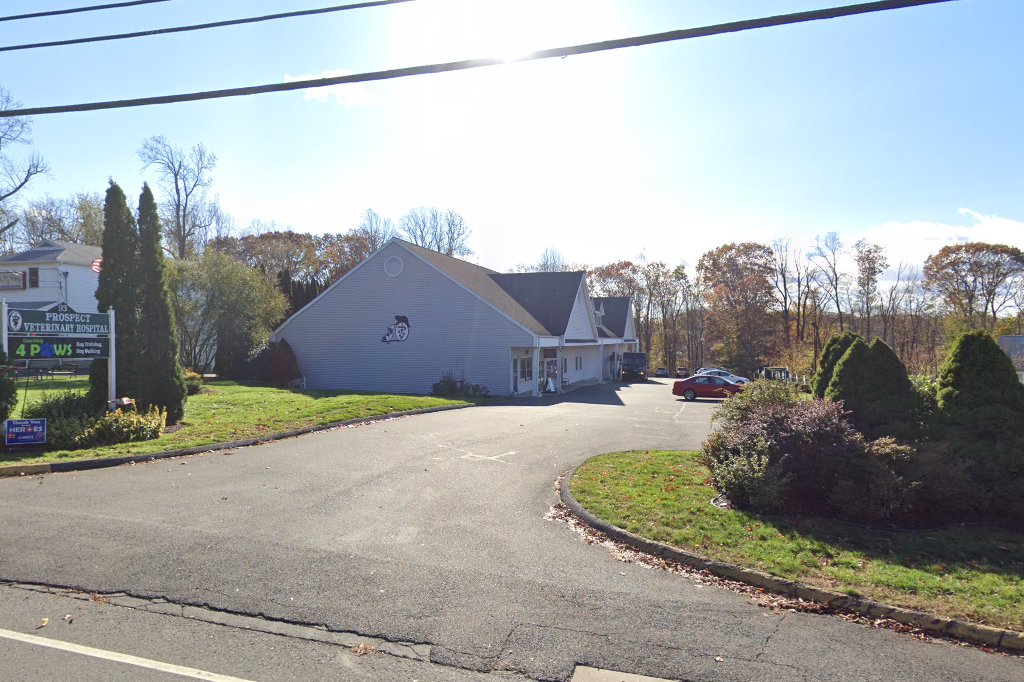 Prospect Veterinary Hospital