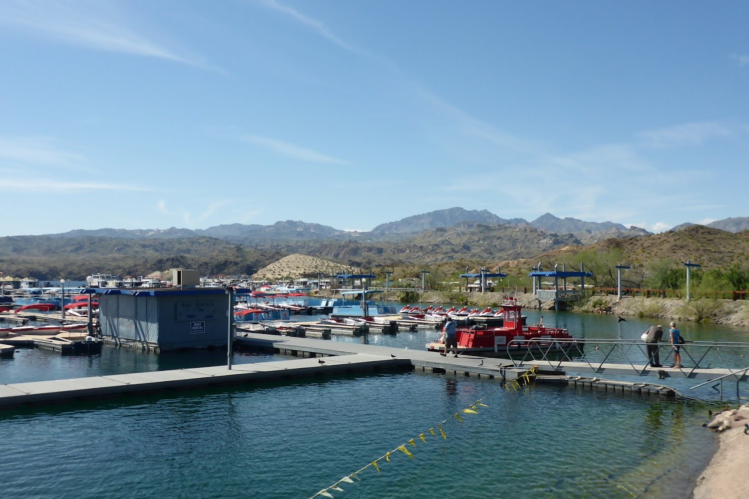 Rescued Unwanted Furry Friends Foundation