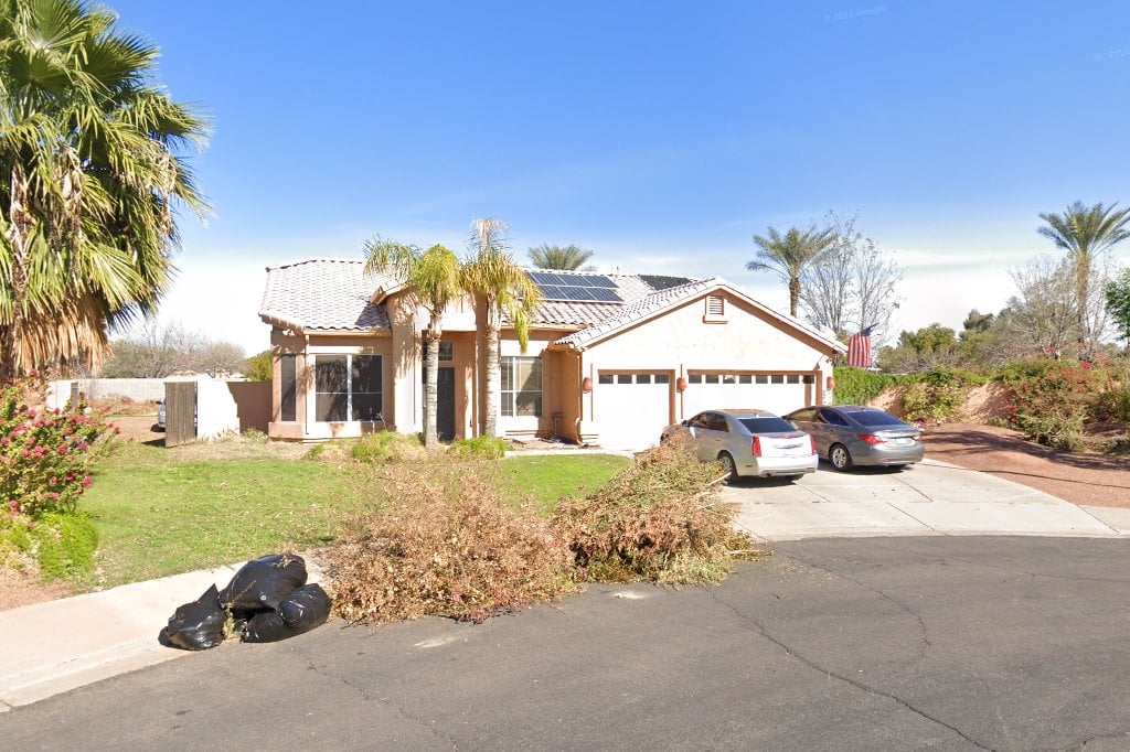 Greater Southwest Saint Bernard Rescue