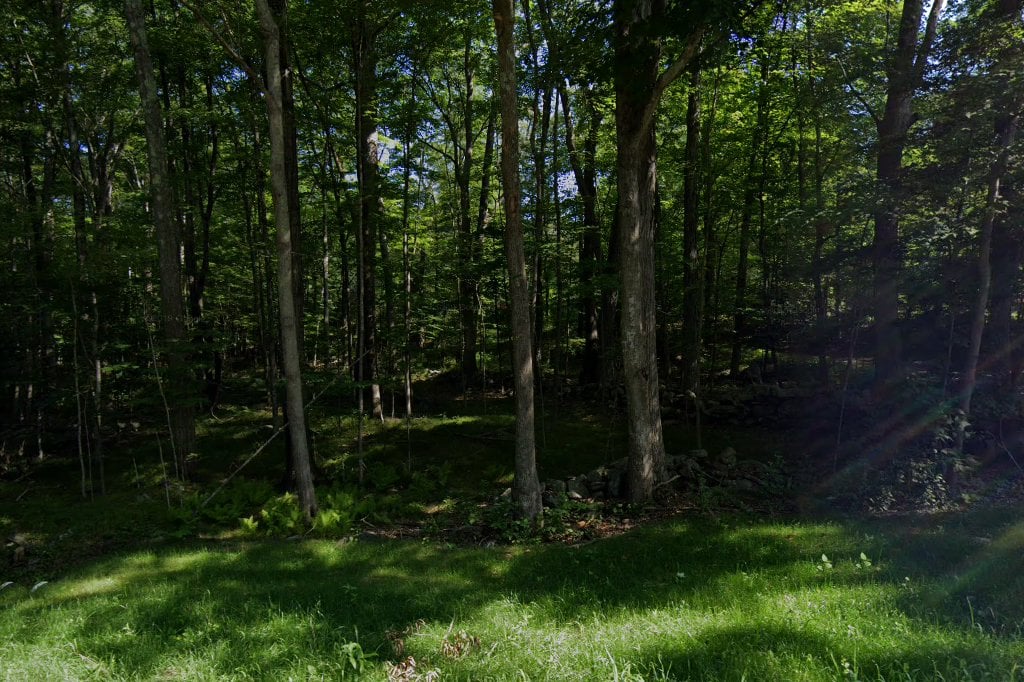 Storrs Animal Shelter