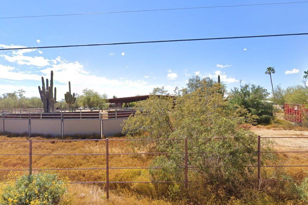 Save Animals From Euthanasia