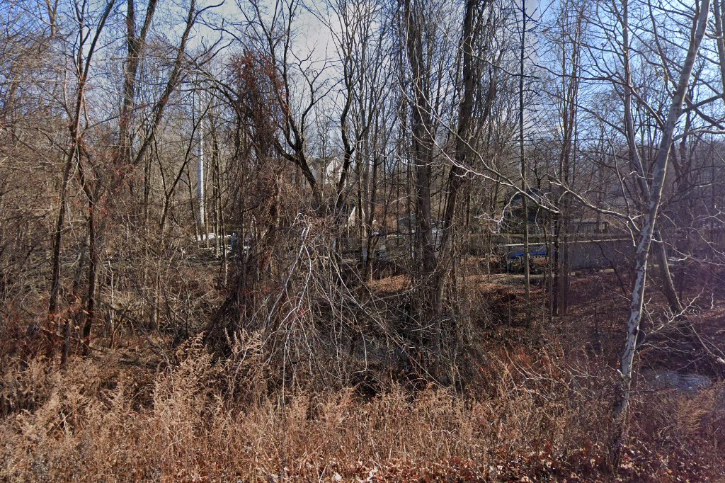 Wilton Animal Control