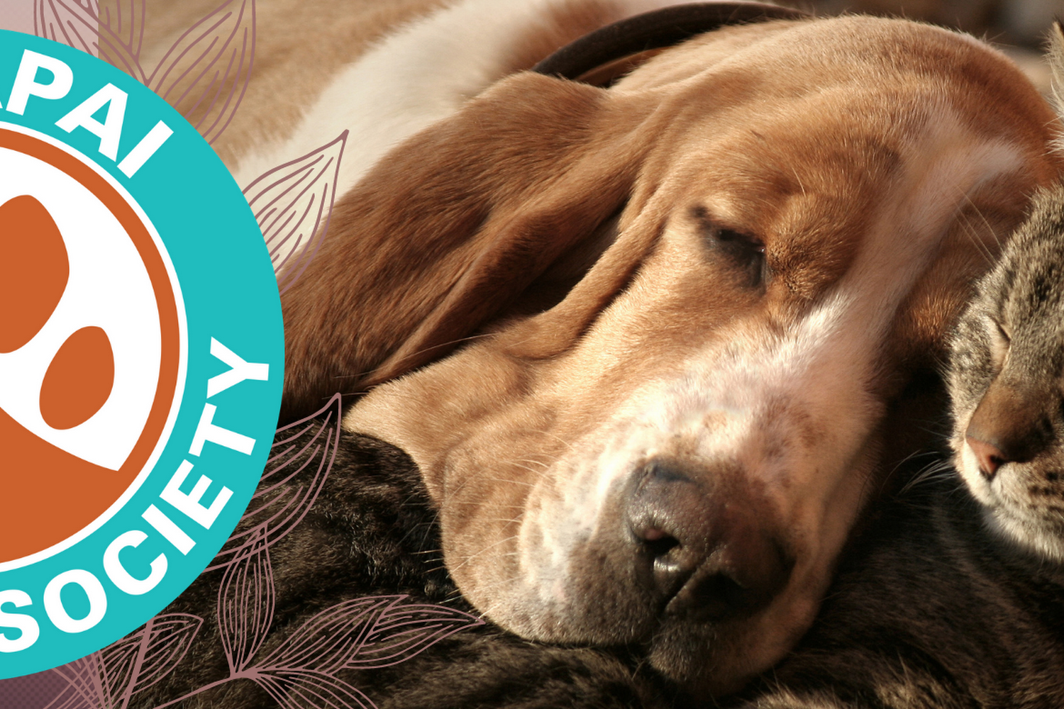 Yavapai Humane Society