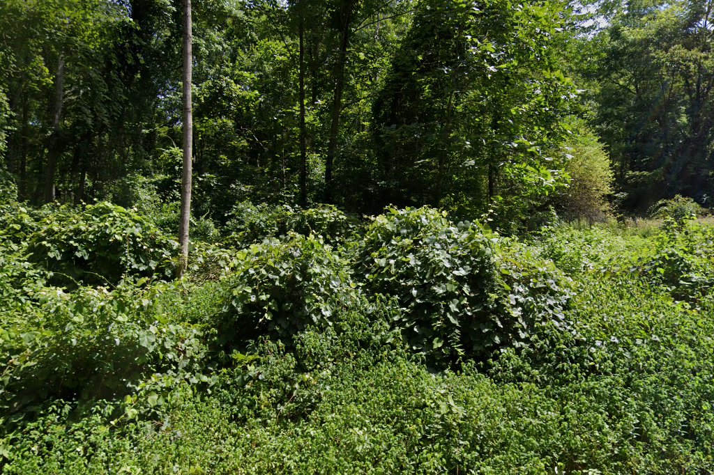 Plainfield Animal Shelter