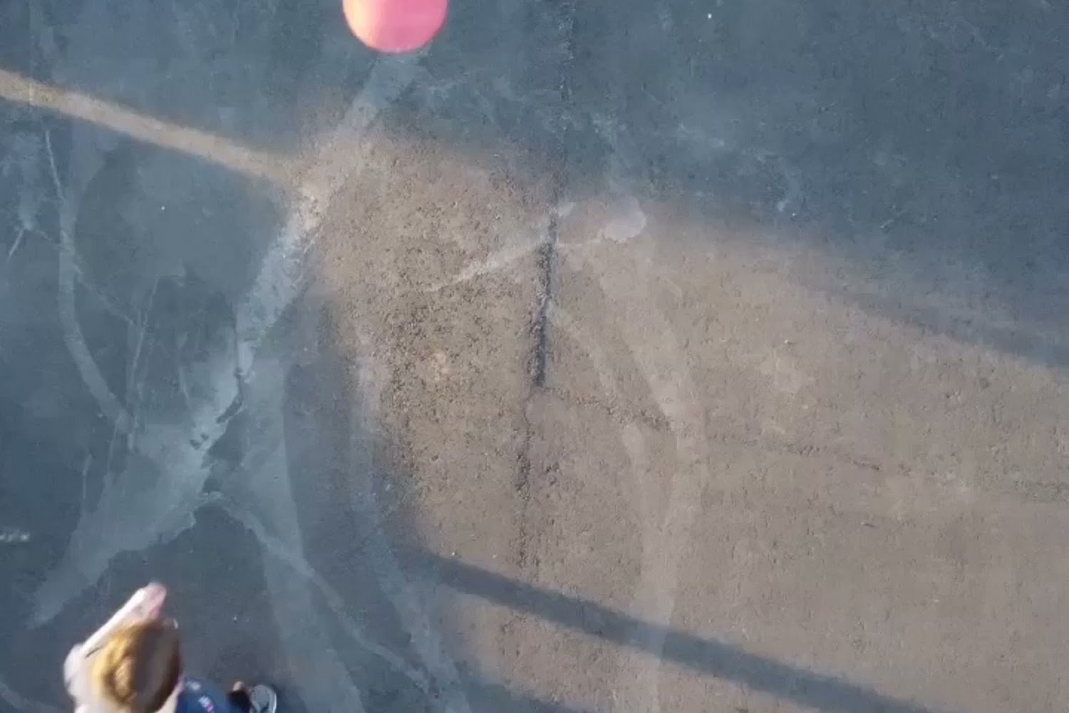 Jewett Animal Control