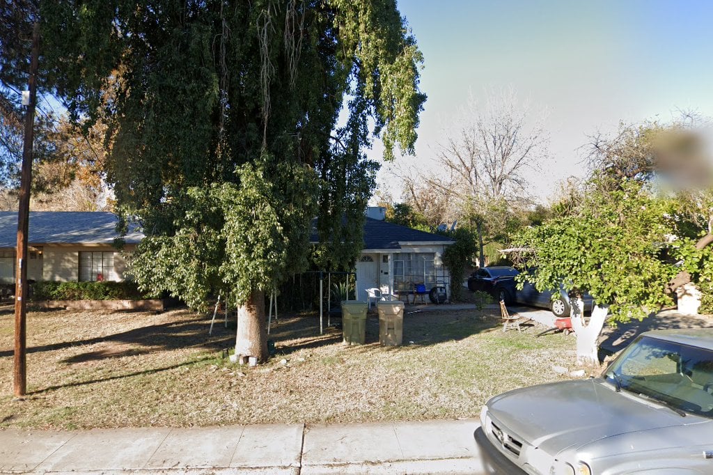 Uncle Jacks Cats and Dogs