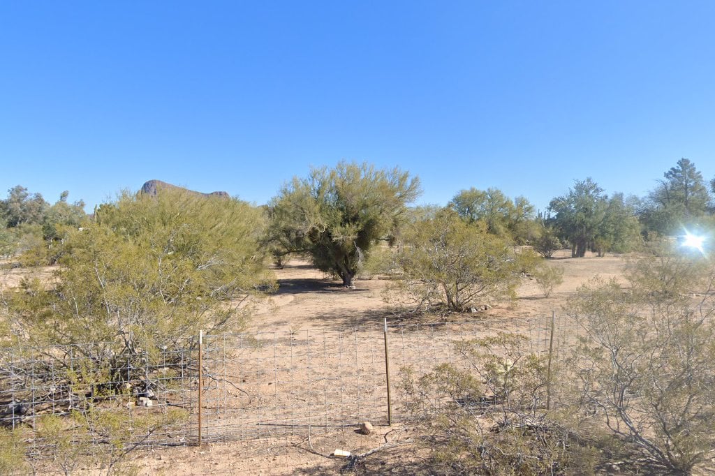 Pigs A Lot Sanctuary