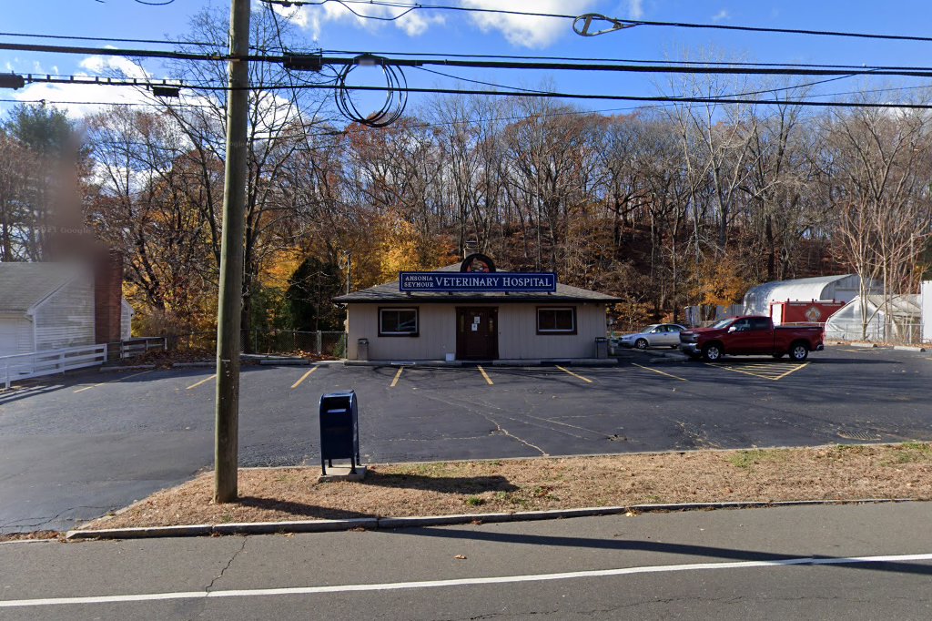Ansonia Animal Hospital