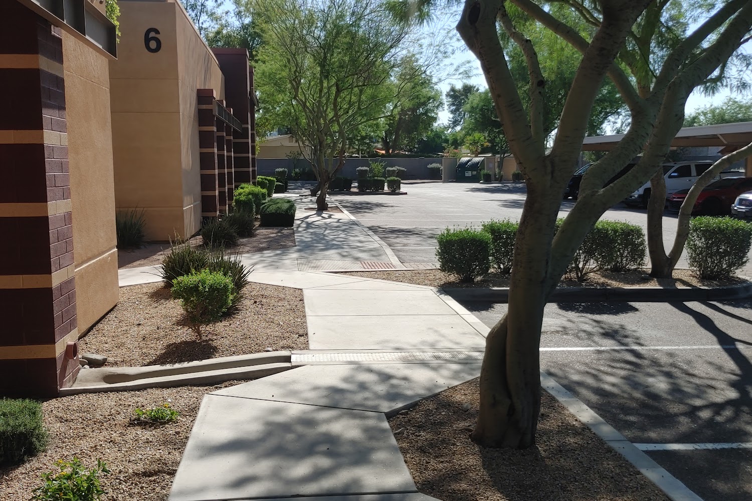 Arizona Exotic Animal Hospital