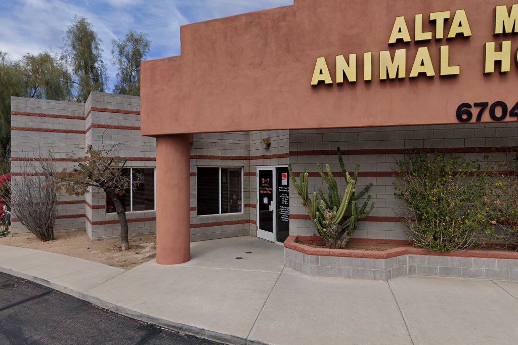 Alta Mesa Animal Hospital