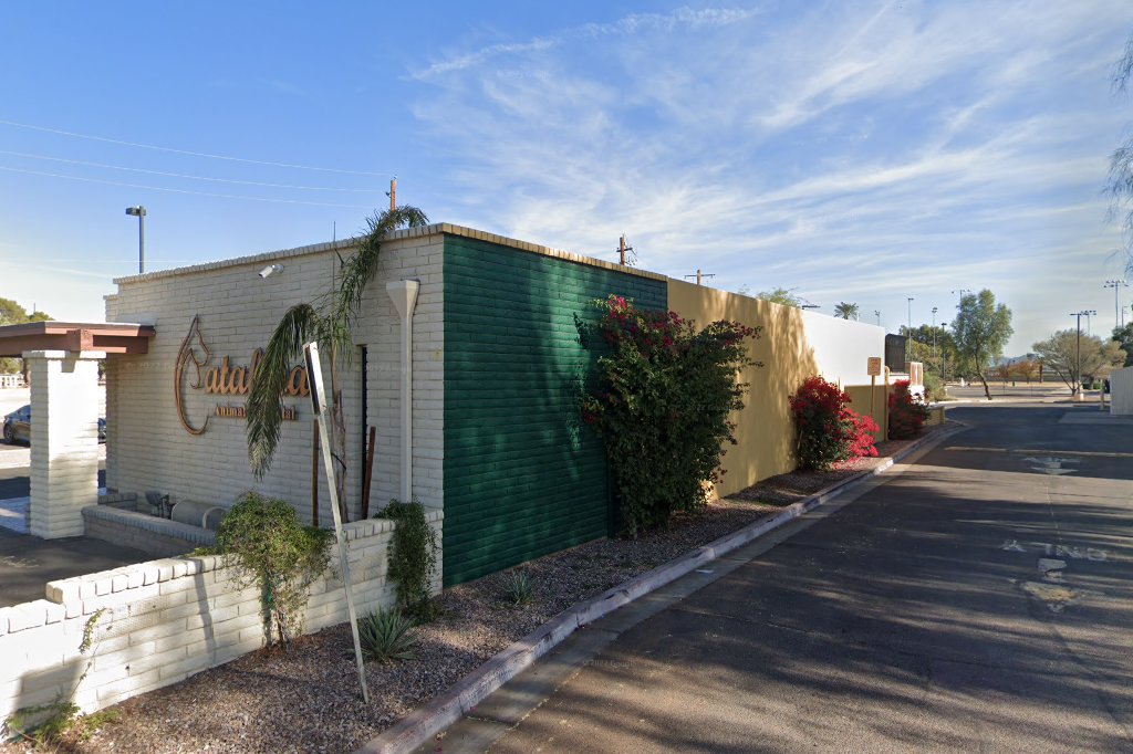 Catalina Animal Hospital