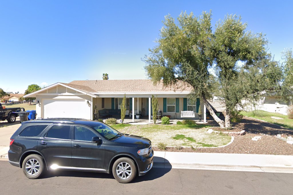 Mesa Town Center Strays