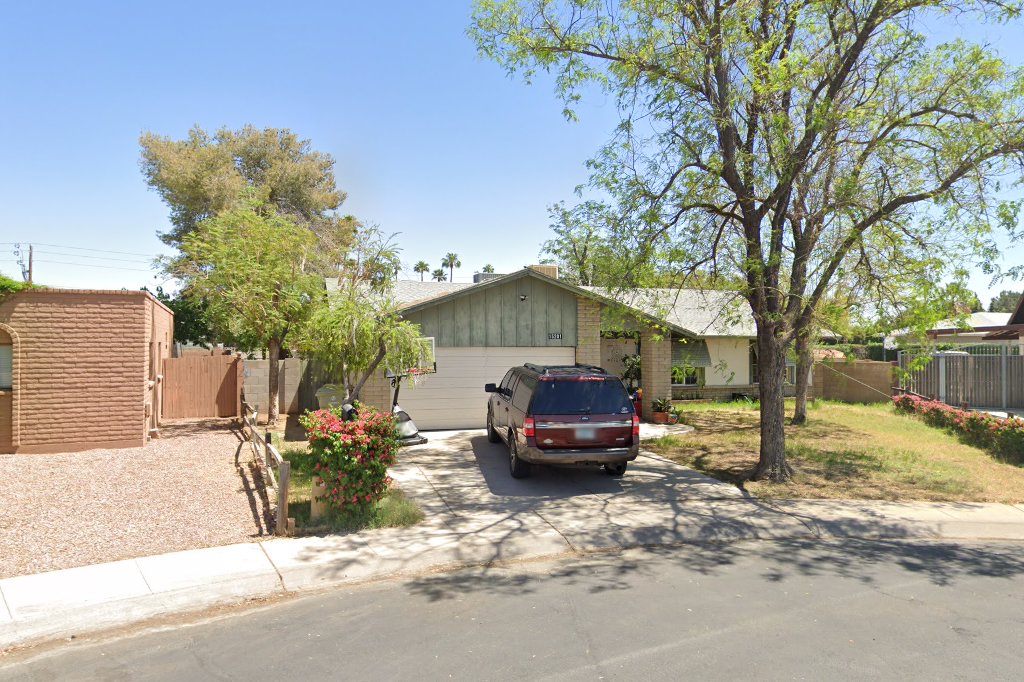 Arizona Saint Bernard Rescue