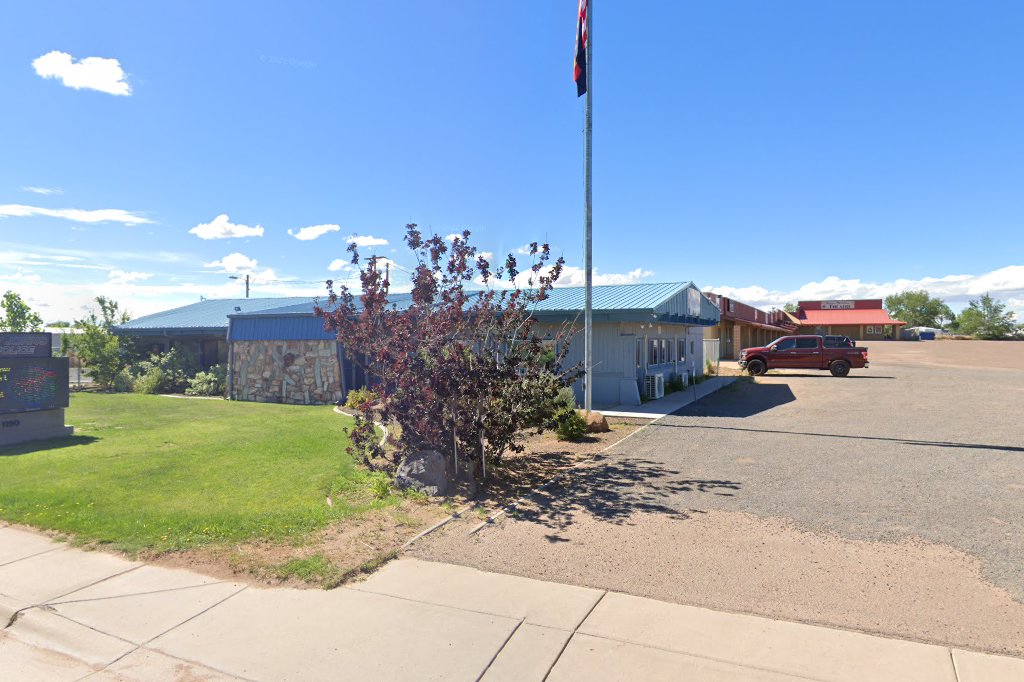 St Johns City Animal Control