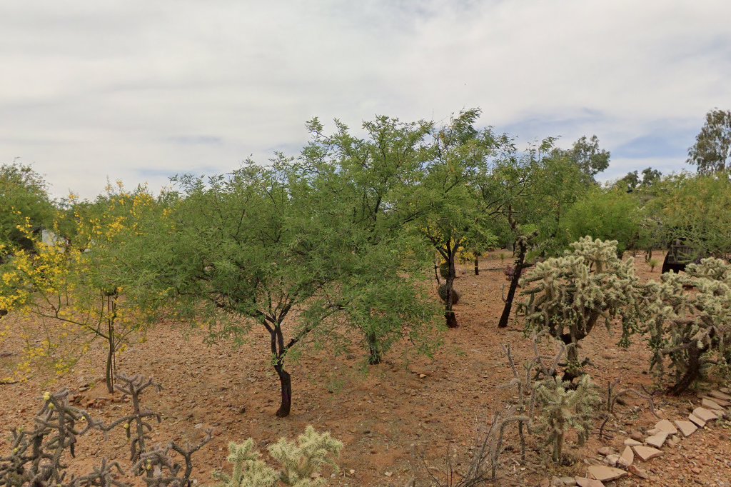 Sahuaro Dachshund Rescue