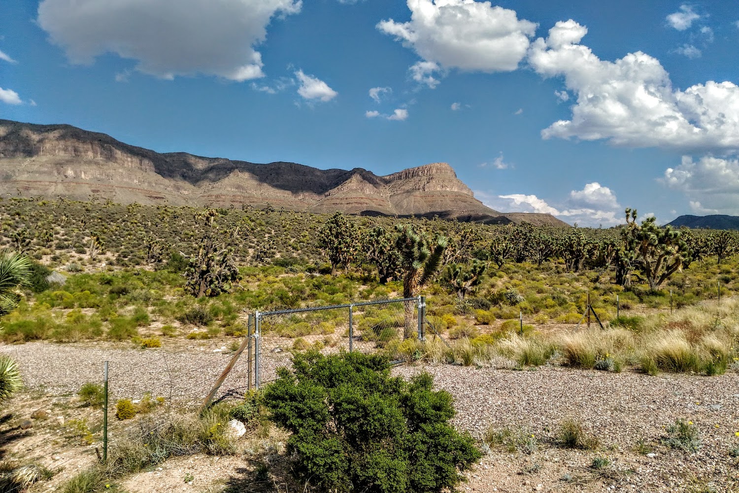 21st Century Animal Resource and Education Services