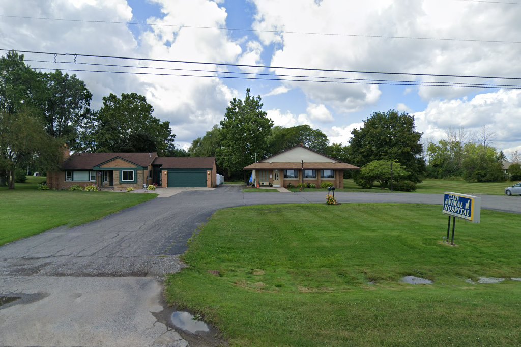 Clare Animal Hospital