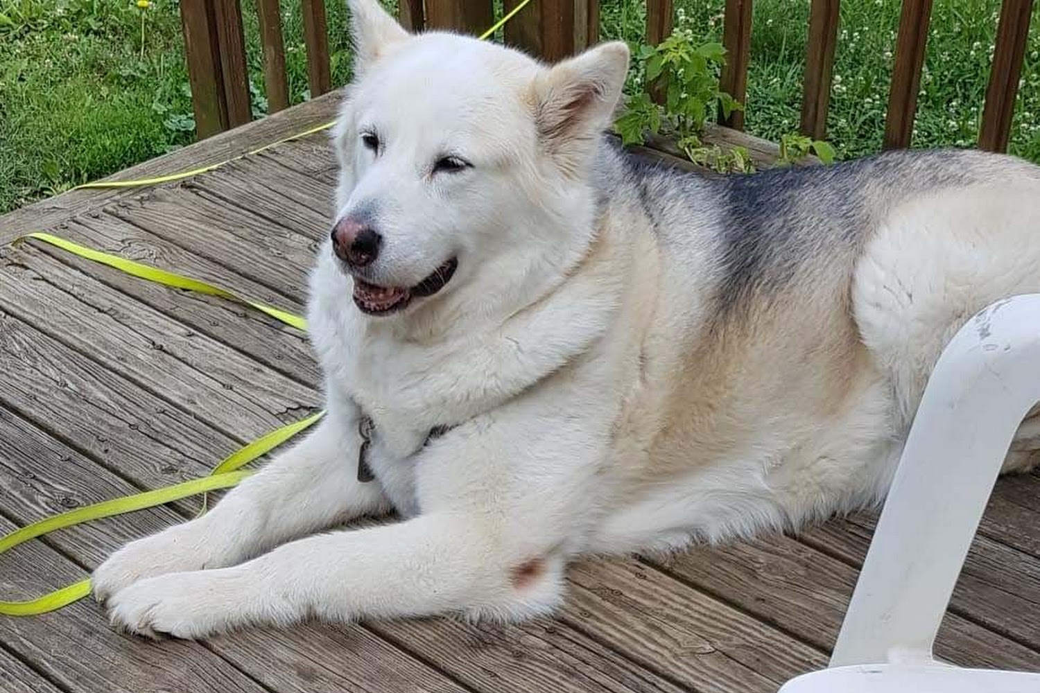 Tekonsha Animal Hospital