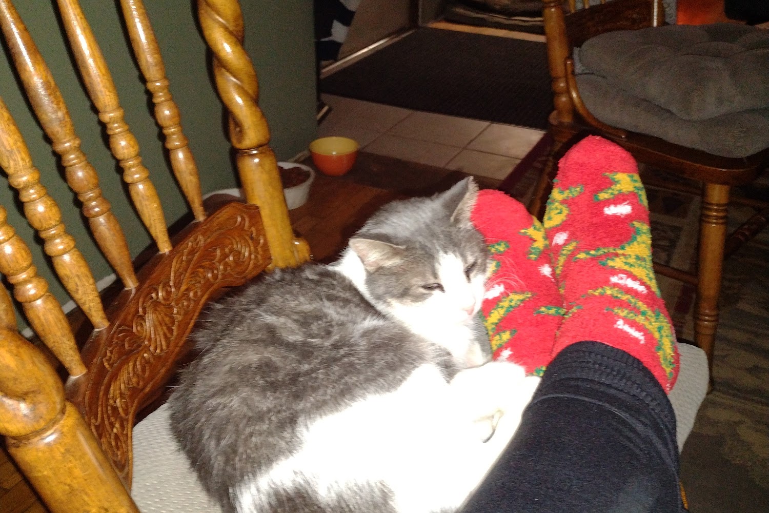 Eaton County Animal Control