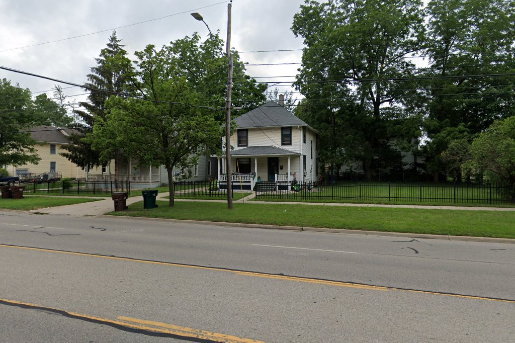 Australian Shepherd Rescue In Michigan