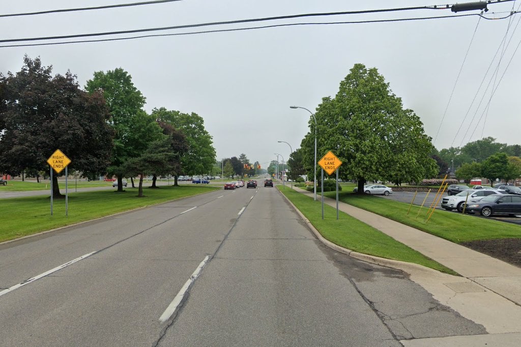 Greyheart Greyhound Rescue and Adoption of Michigan