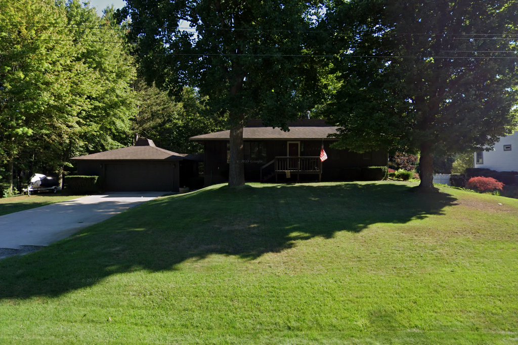 Airedale Rescue New Beginnings