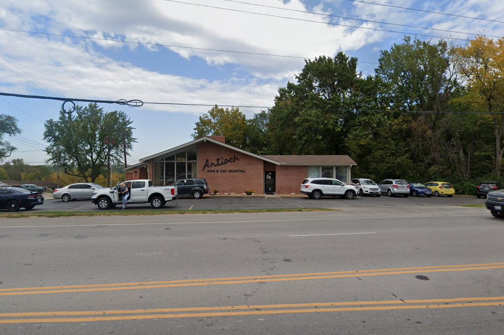 Antioch Dog & Cat Hospital