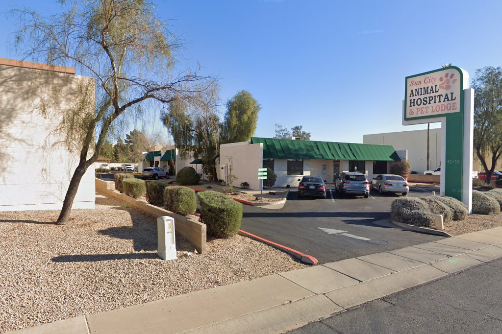 Sun City Animal Hospital