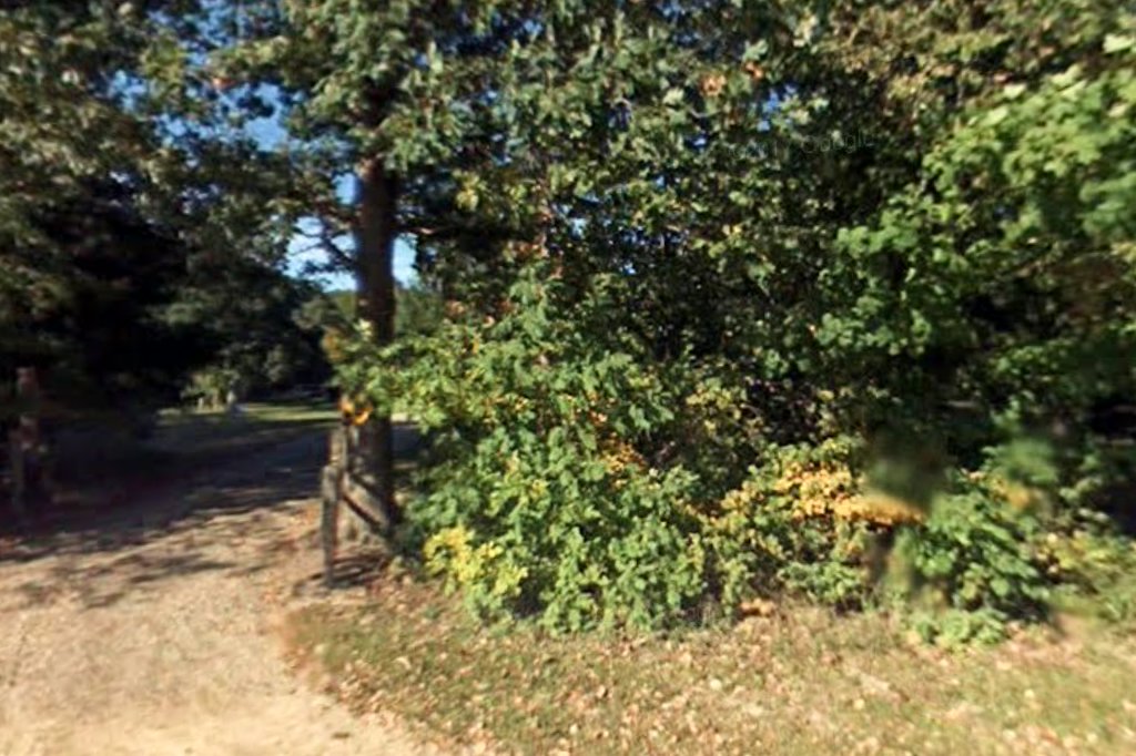 For the Love of Rotts...The Michigan Connection