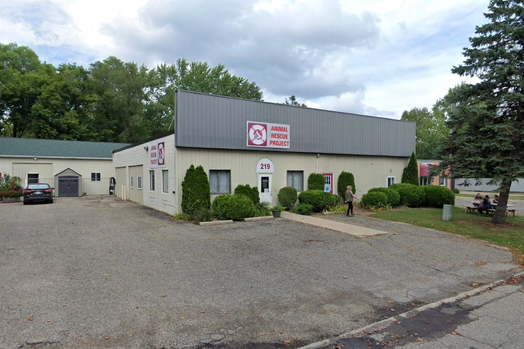 Animal Rescue Project