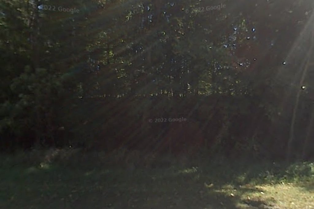 Three Oaks Animal Control