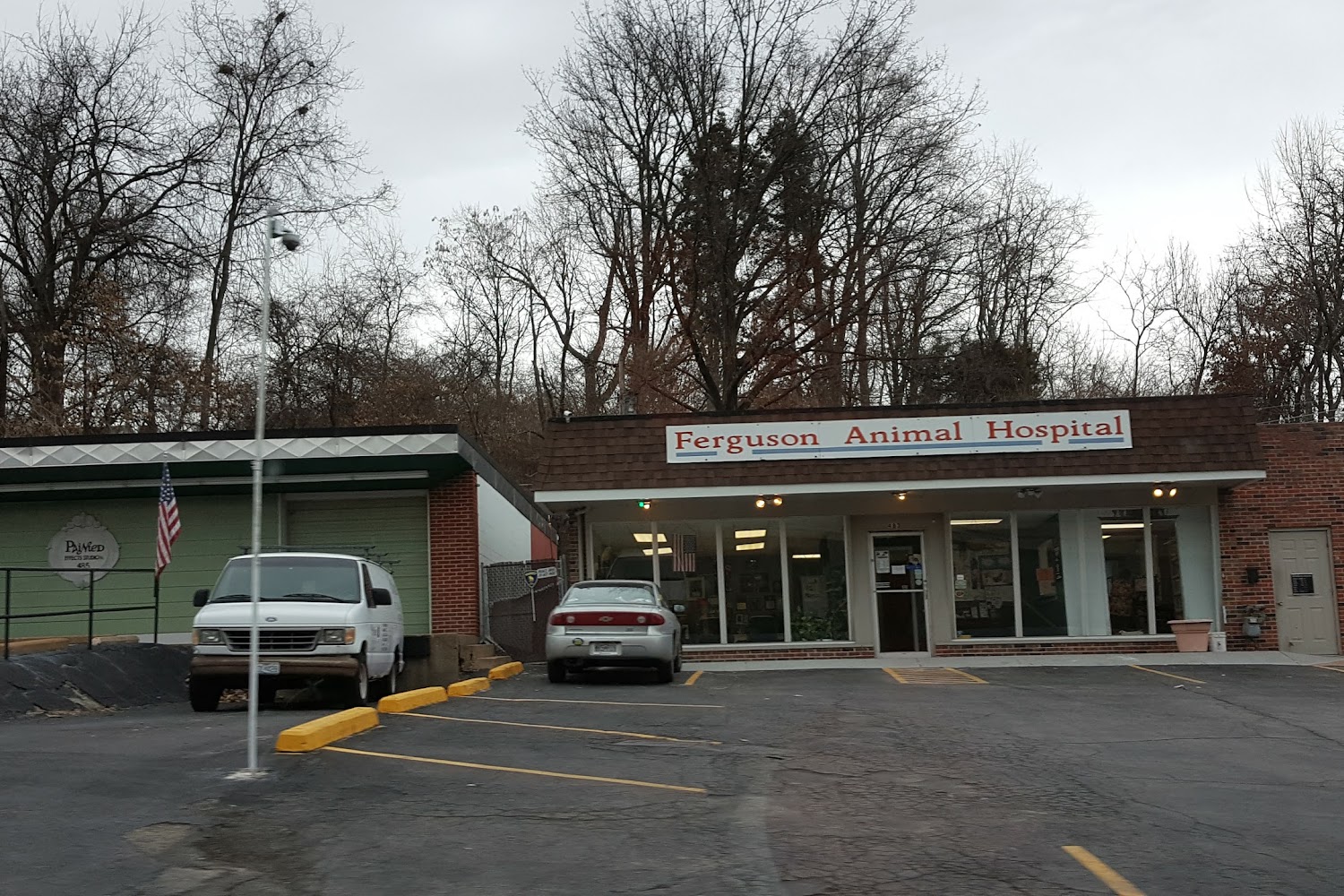 Ferguson Animal Hospital