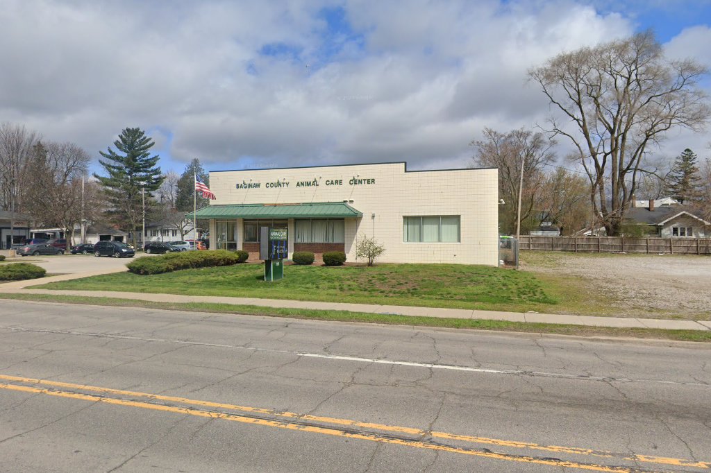Saginaw County Animal Control