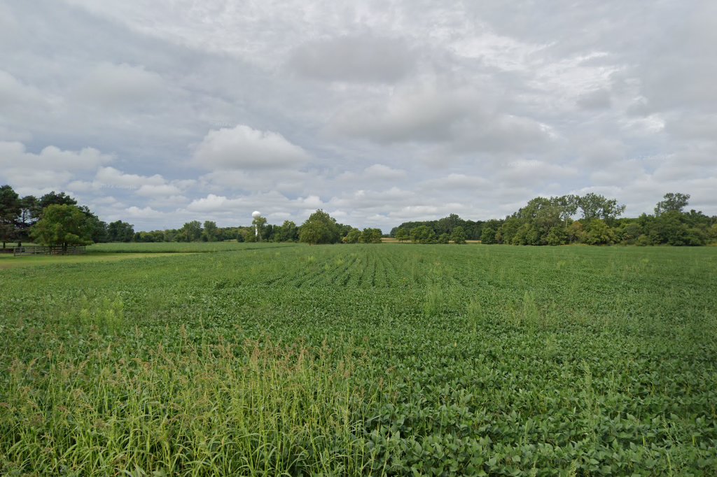 Clinton County Animal Control